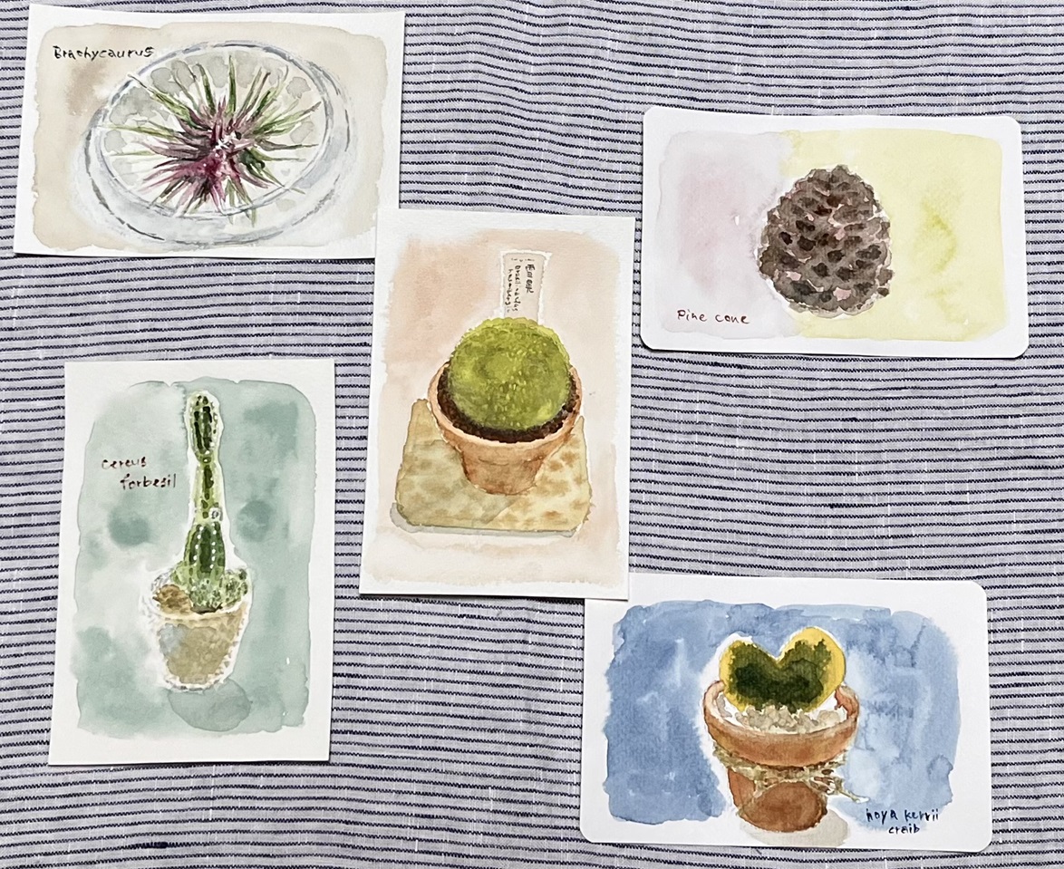 お正月の思い出