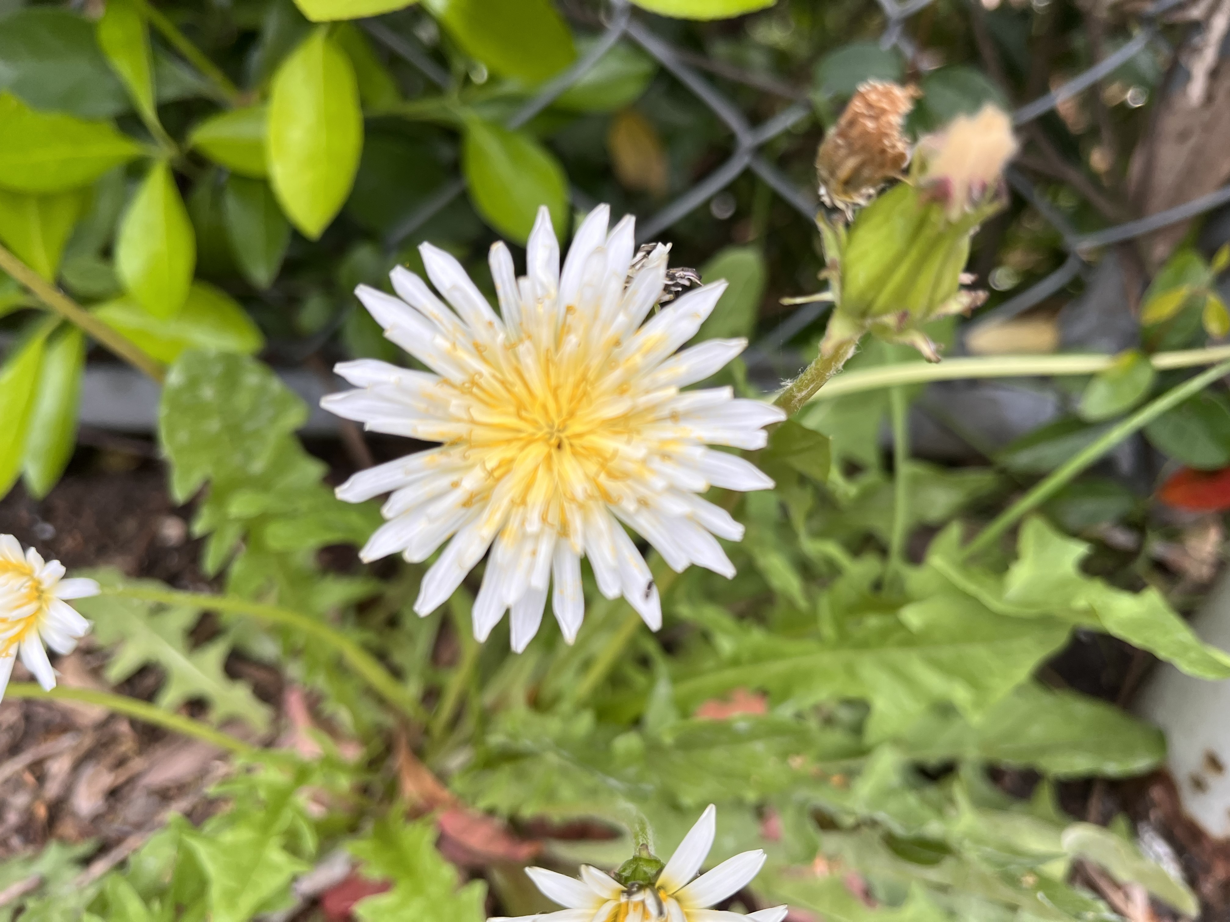 可愛いエピソード