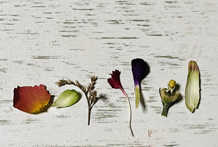 ドライフラワー