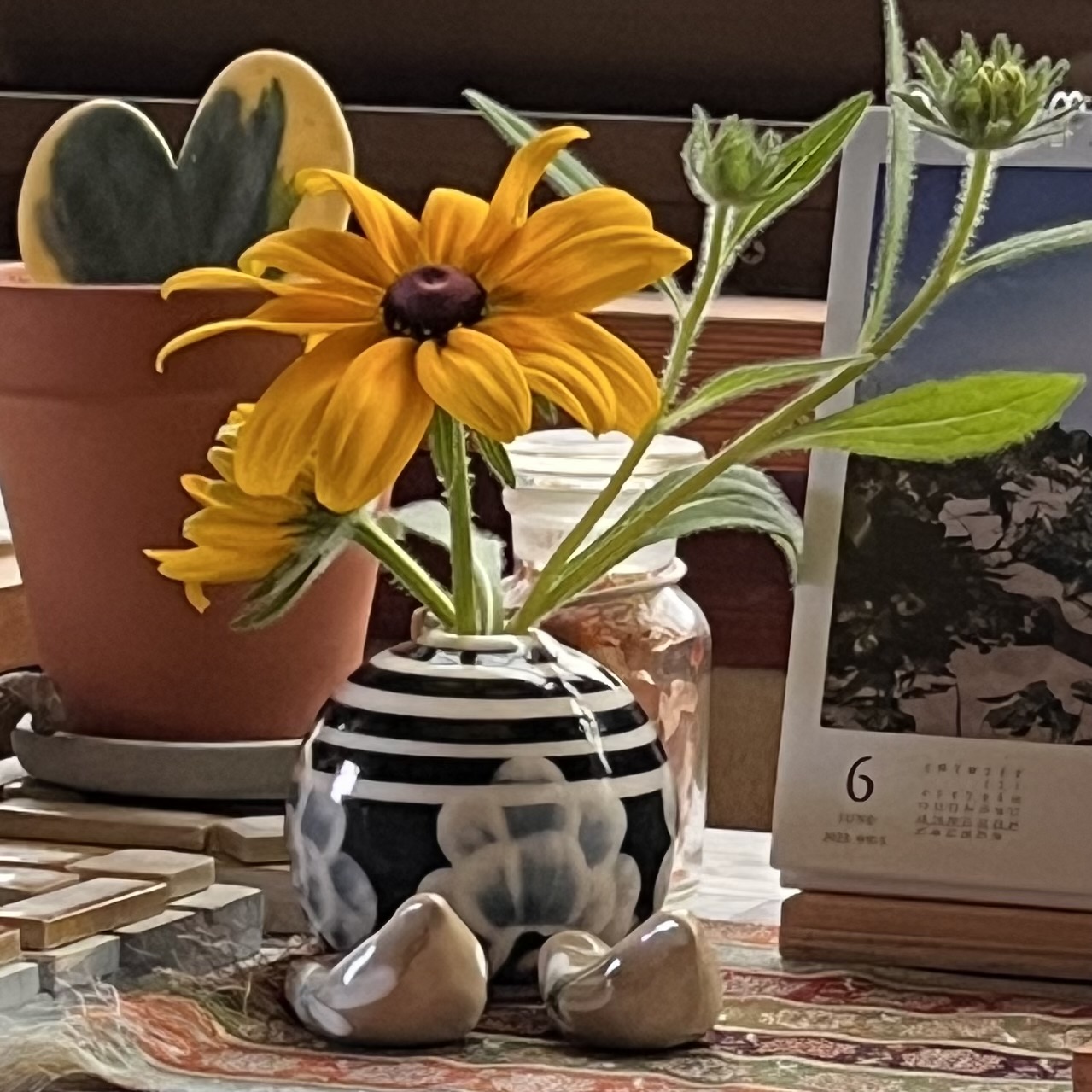 ビタミンカラーな花