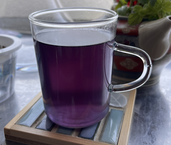 藍のお茶とオーガニックコットン