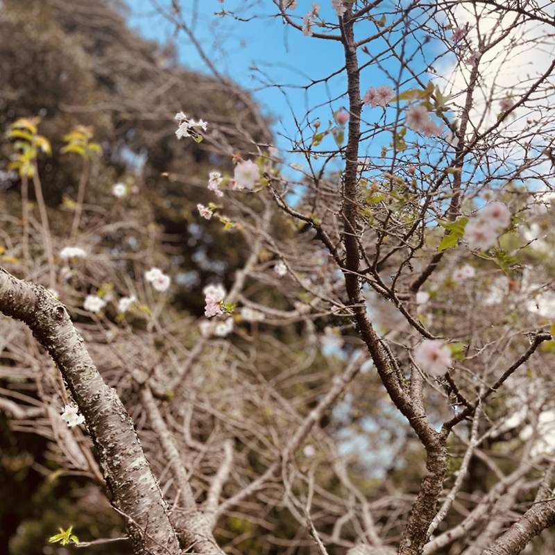 暑くてもちいさな秋