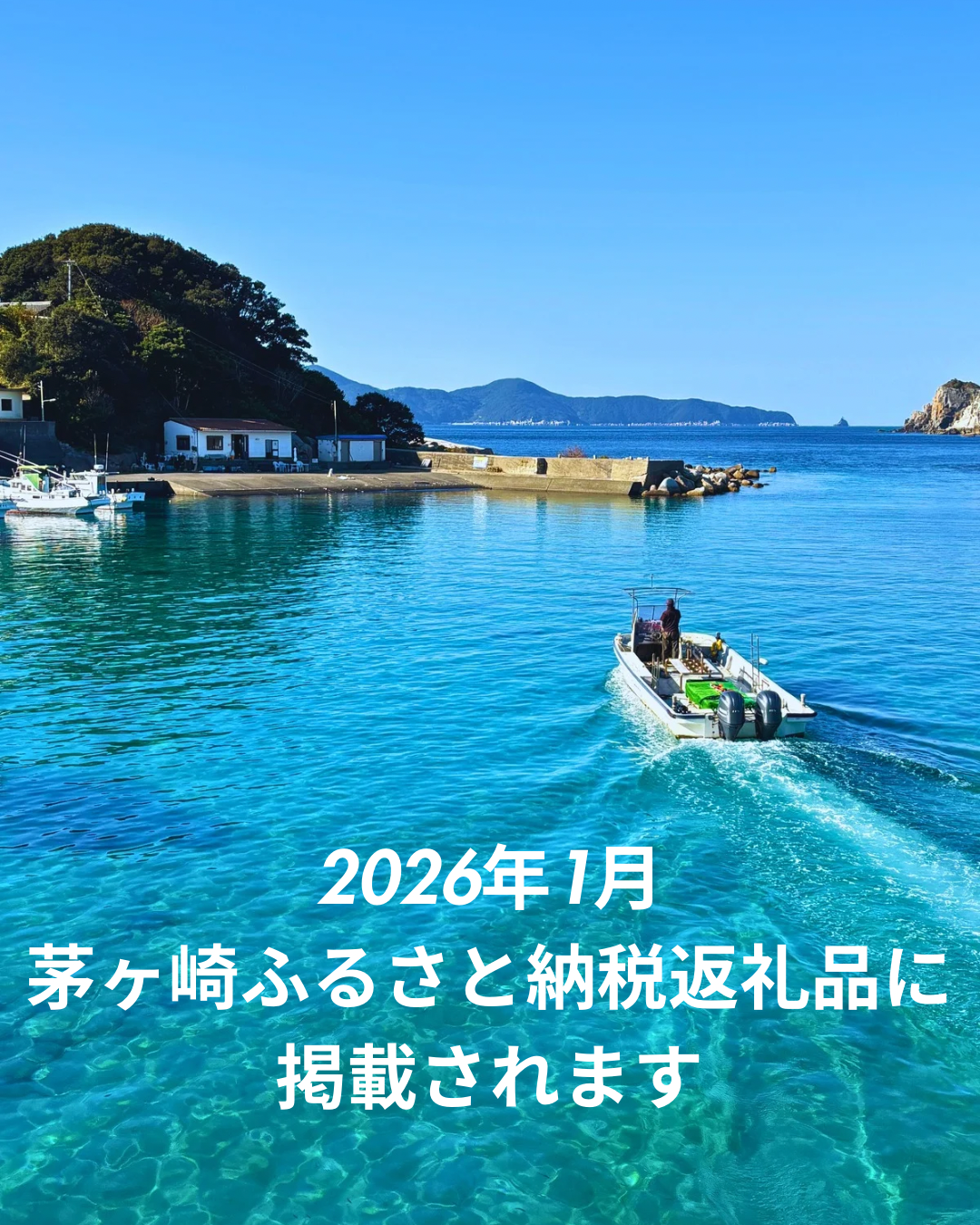 2026年もよろしくお願いします