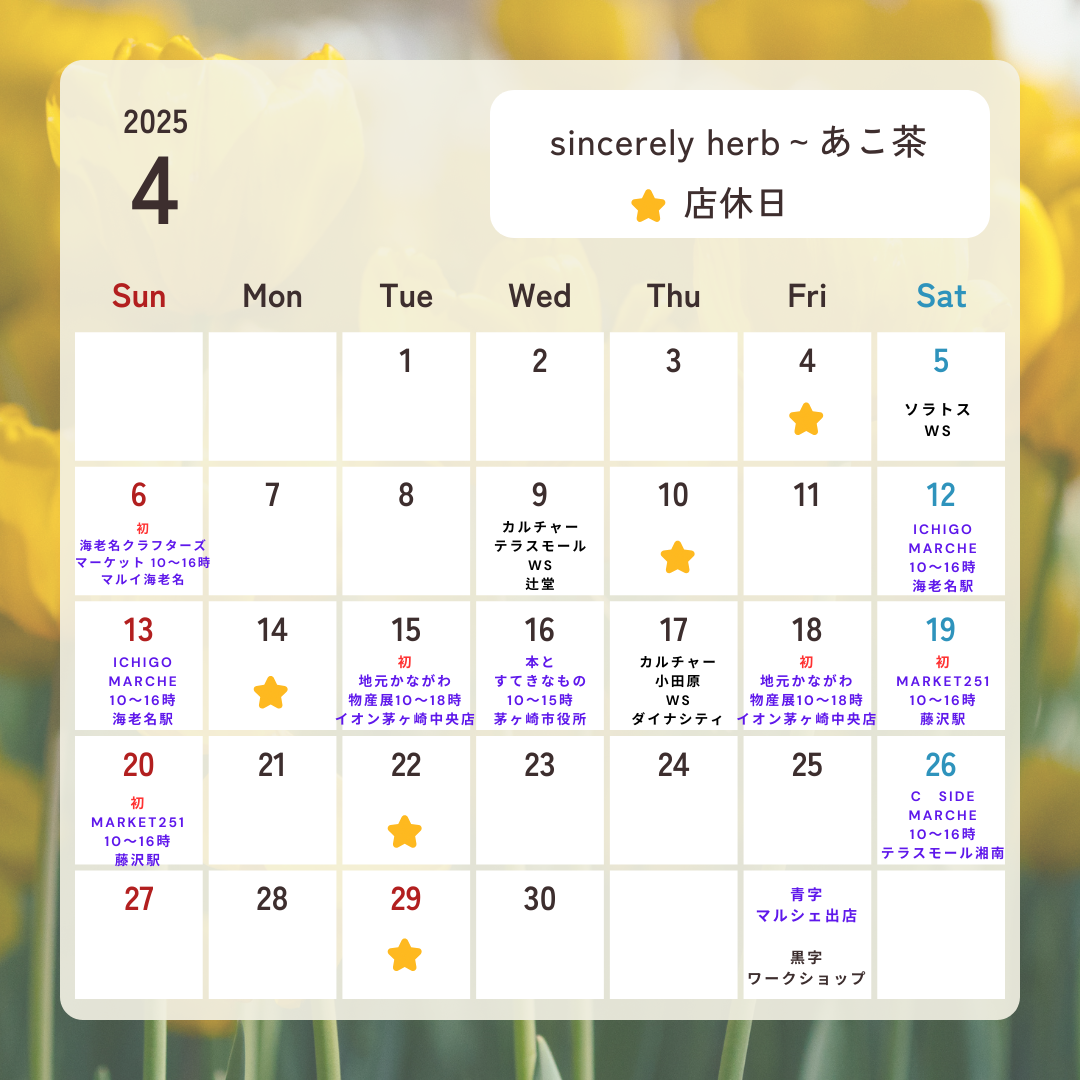 4月のスケジュール