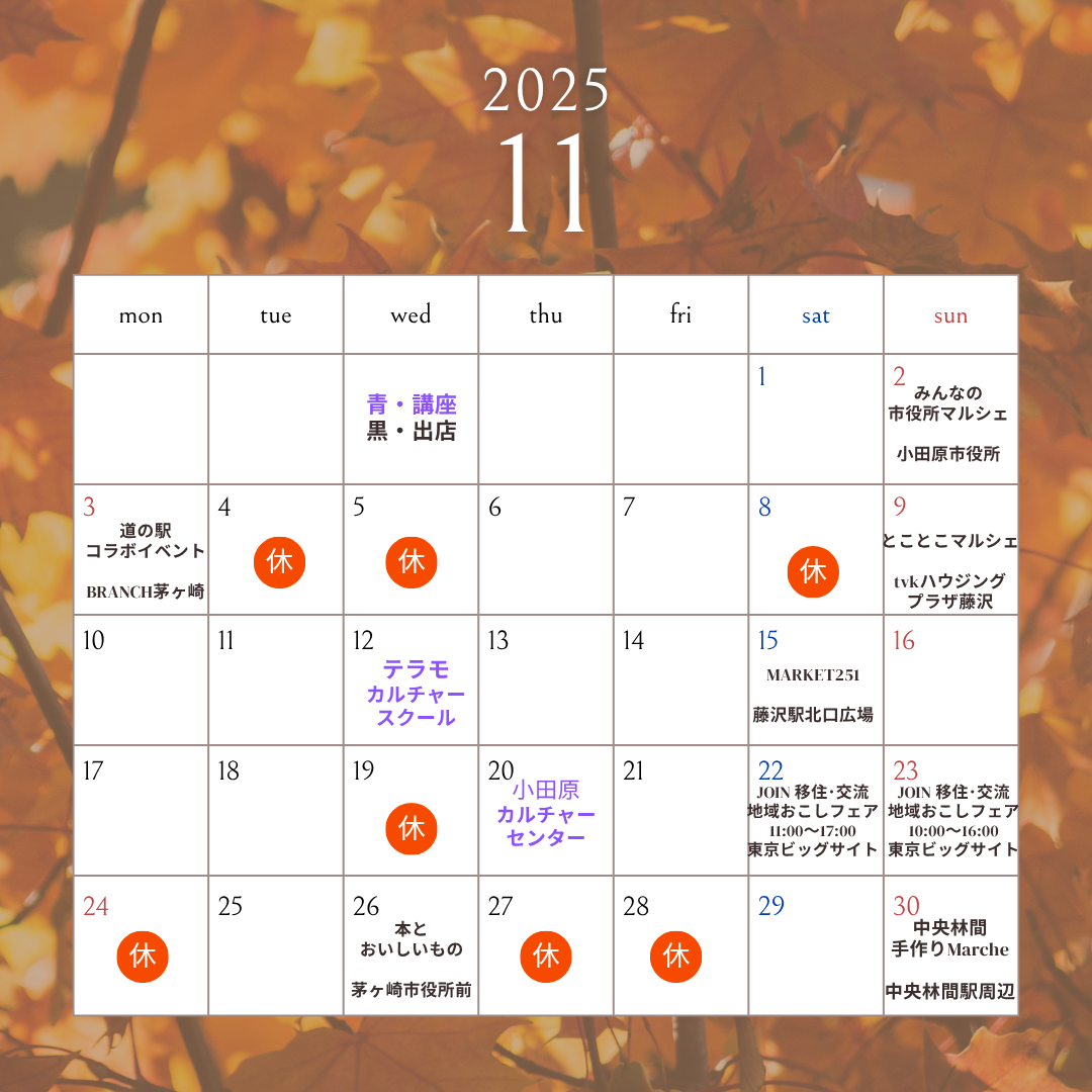 11月のスケジュールのご案内