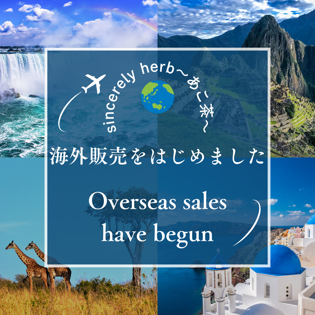海外販売をはじめました