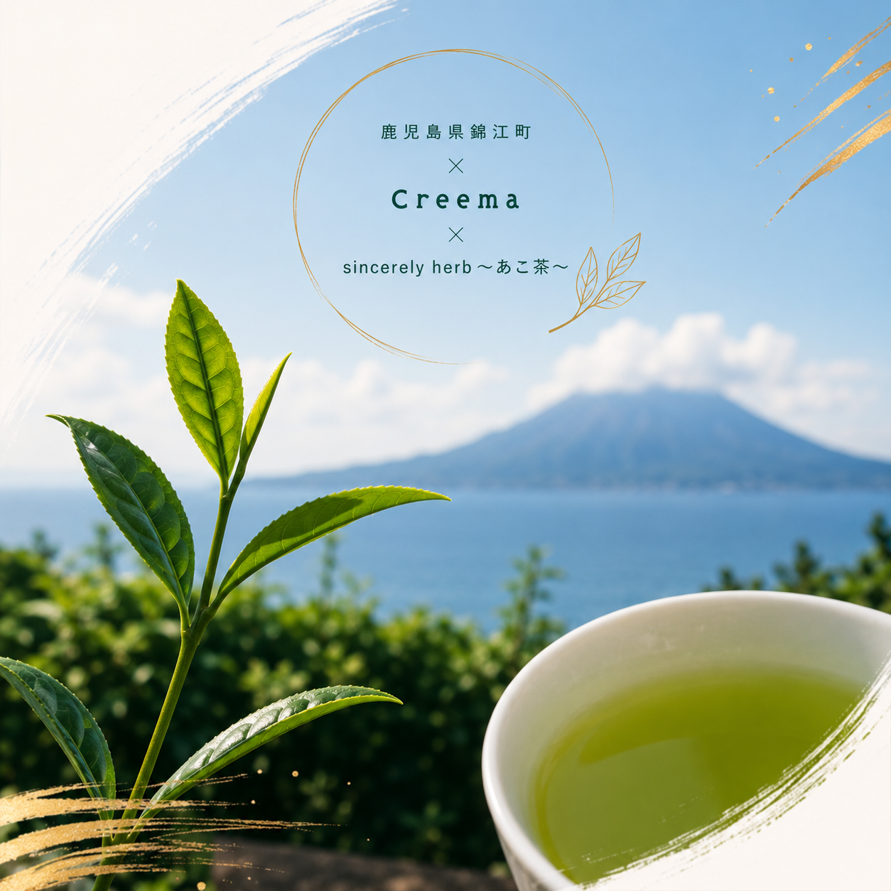 Creemaコラボレーションプロジェクト 始動