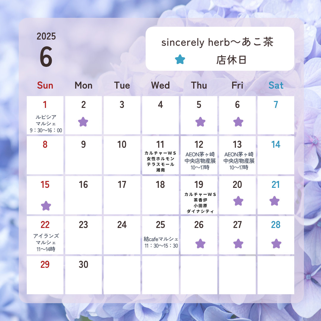 6月の予定