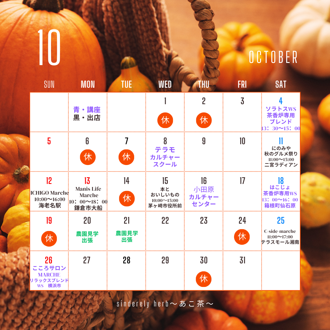 10月のスケジュールのご案内