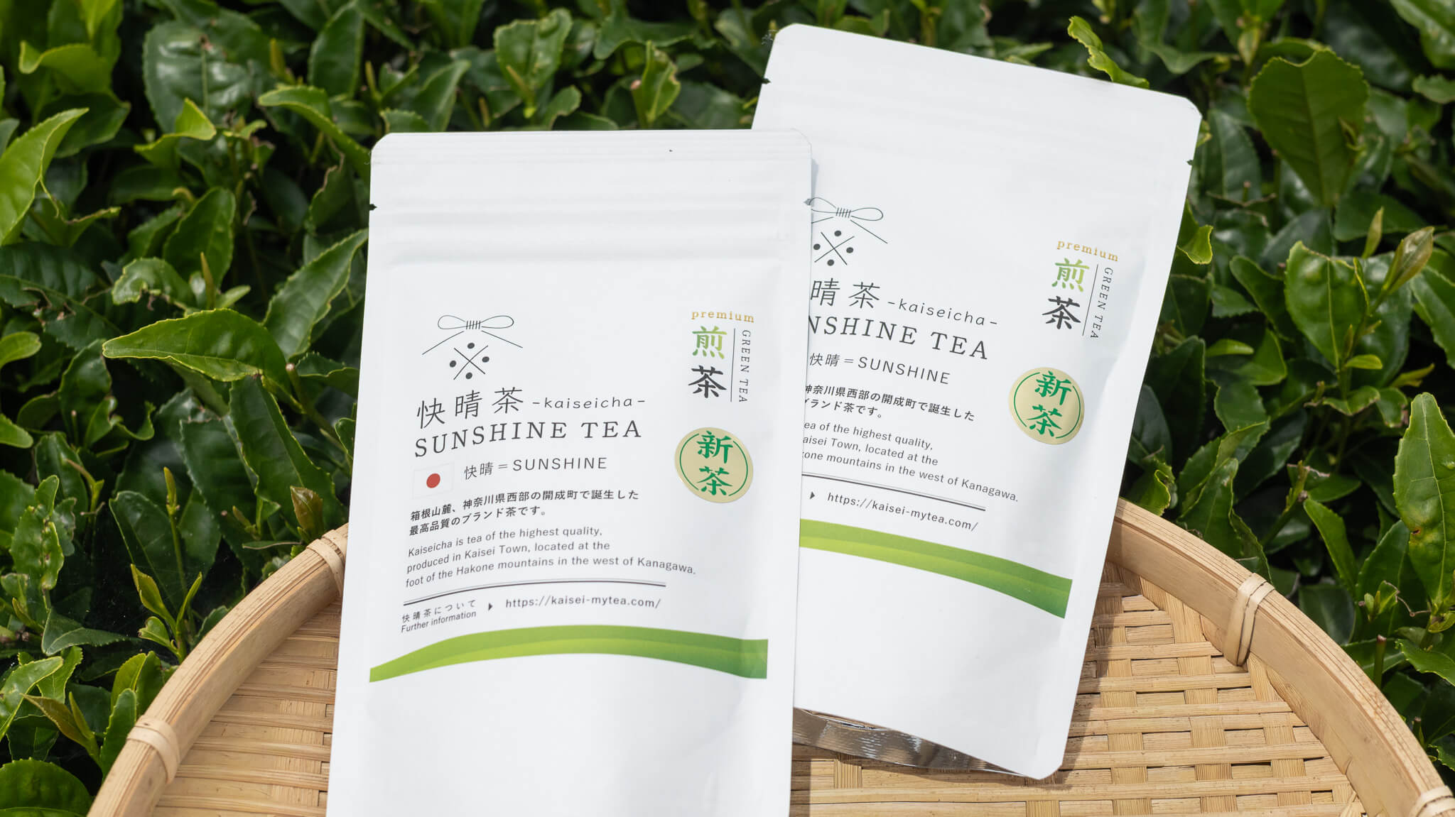 今年の新茶が販売開始しました！！