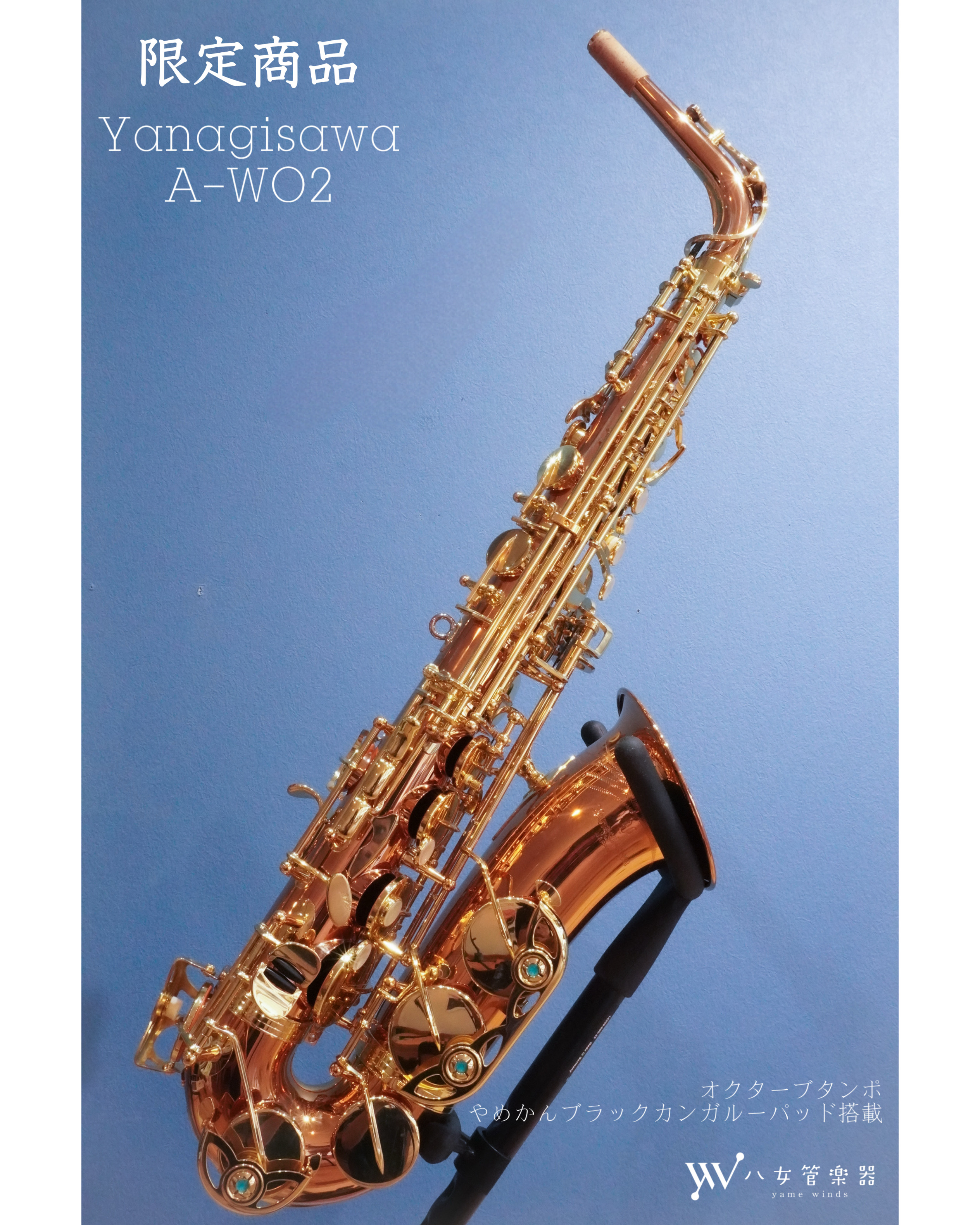 「やめかん特別価格でゲット！A‑WO2+カンガルーパッド搭載モデル」