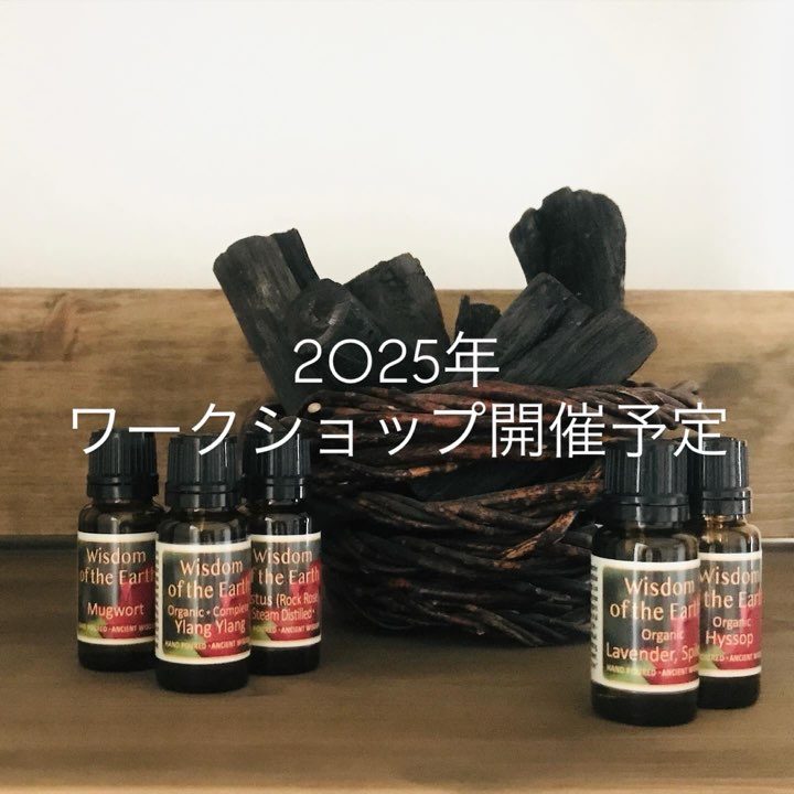 【2025年　ワークショップ開催予定】