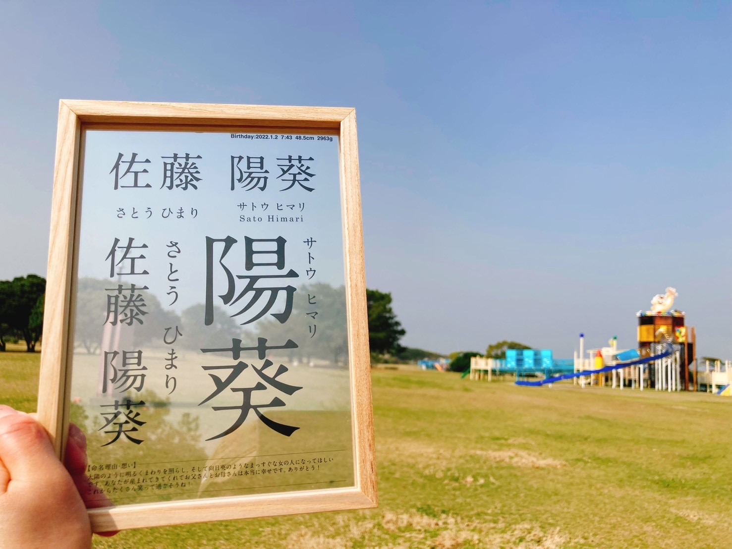 うみなか。