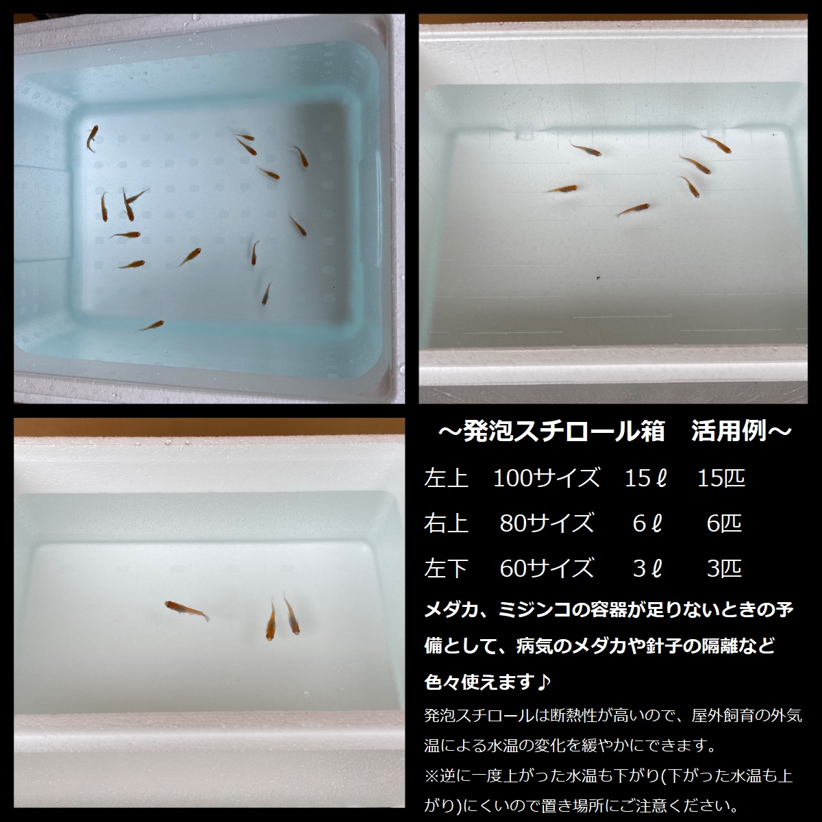 ～発泡スチロール箱の活用方法～