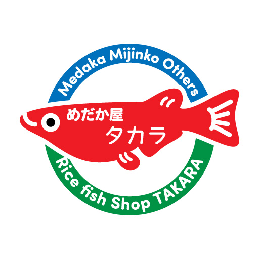 追加アイテムの利用で送料そのまま同梱可能です。クーポンも配布中♪