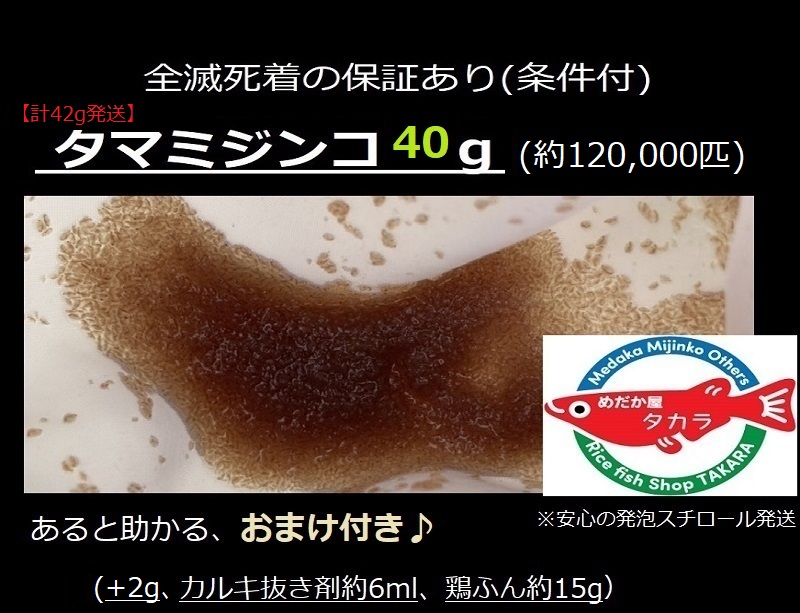 タマミジンコ40gの販売を開始！