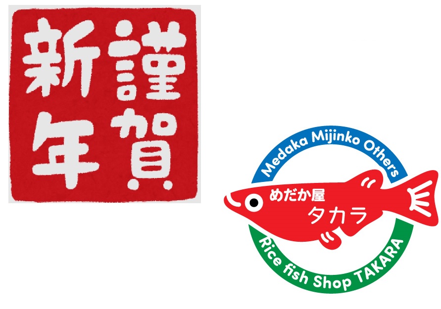 あけましておめでとうございます。