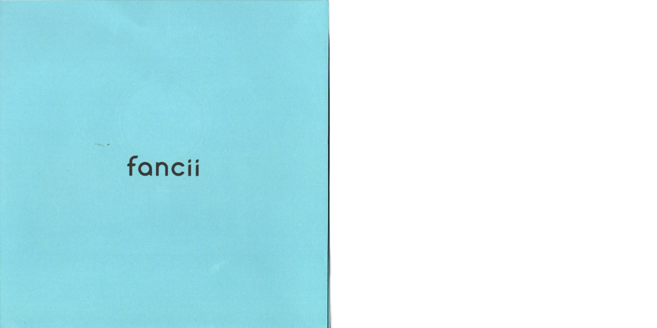 CAMIの説明書