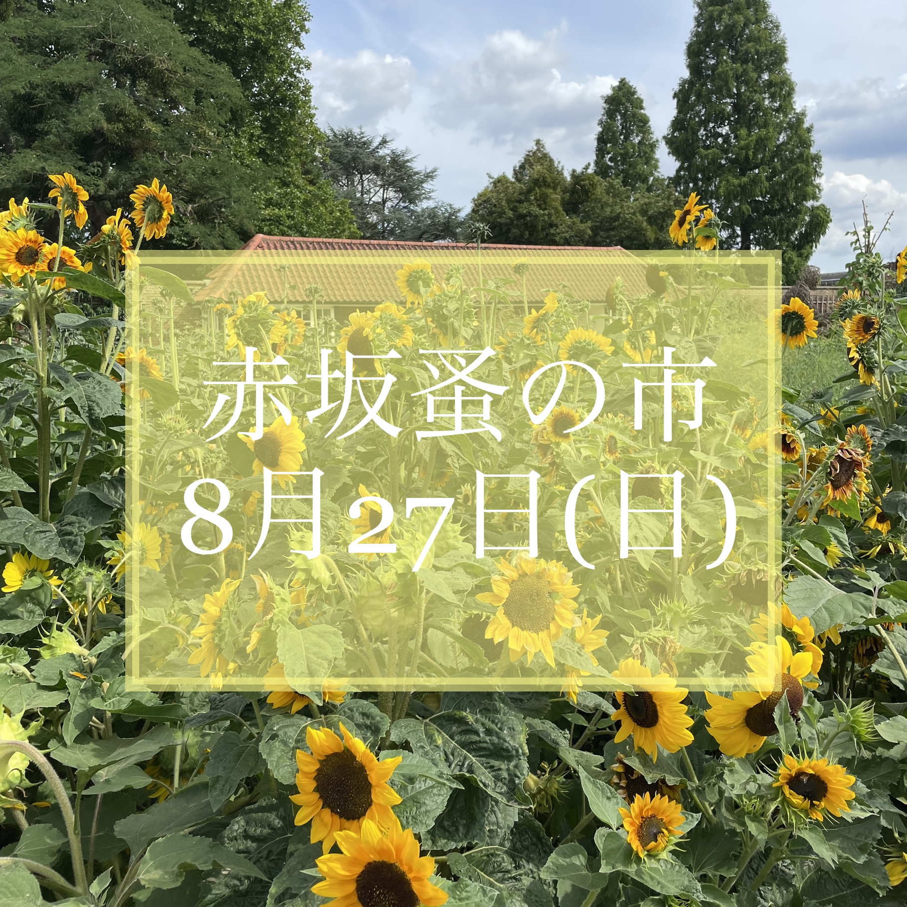 赤坂蚤の市出店のお知らせ