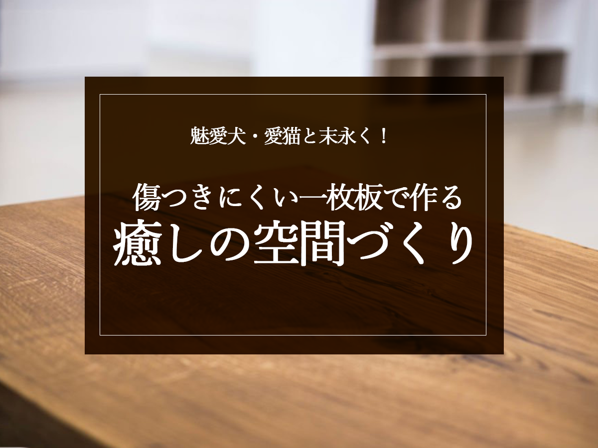 銘木日記（コラム）「愛犬・愛猫と末永く！傷つきにくい一枚板で作る癒しの空間づくり」を更新いたしました