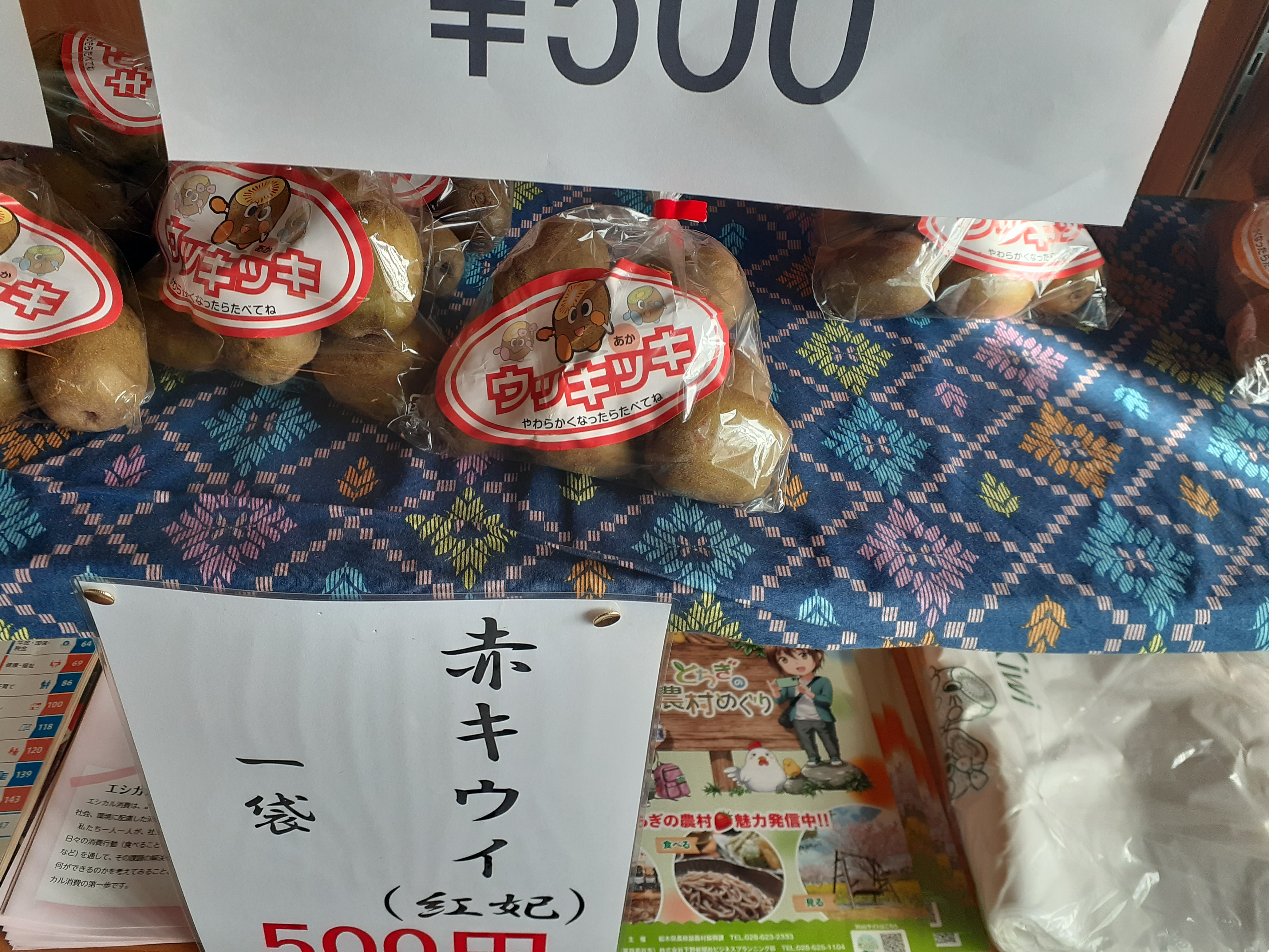 「宇都宮餃子さつき　徳次郎本店」店舗営業につきまして＆キウイフルーツが大人気！