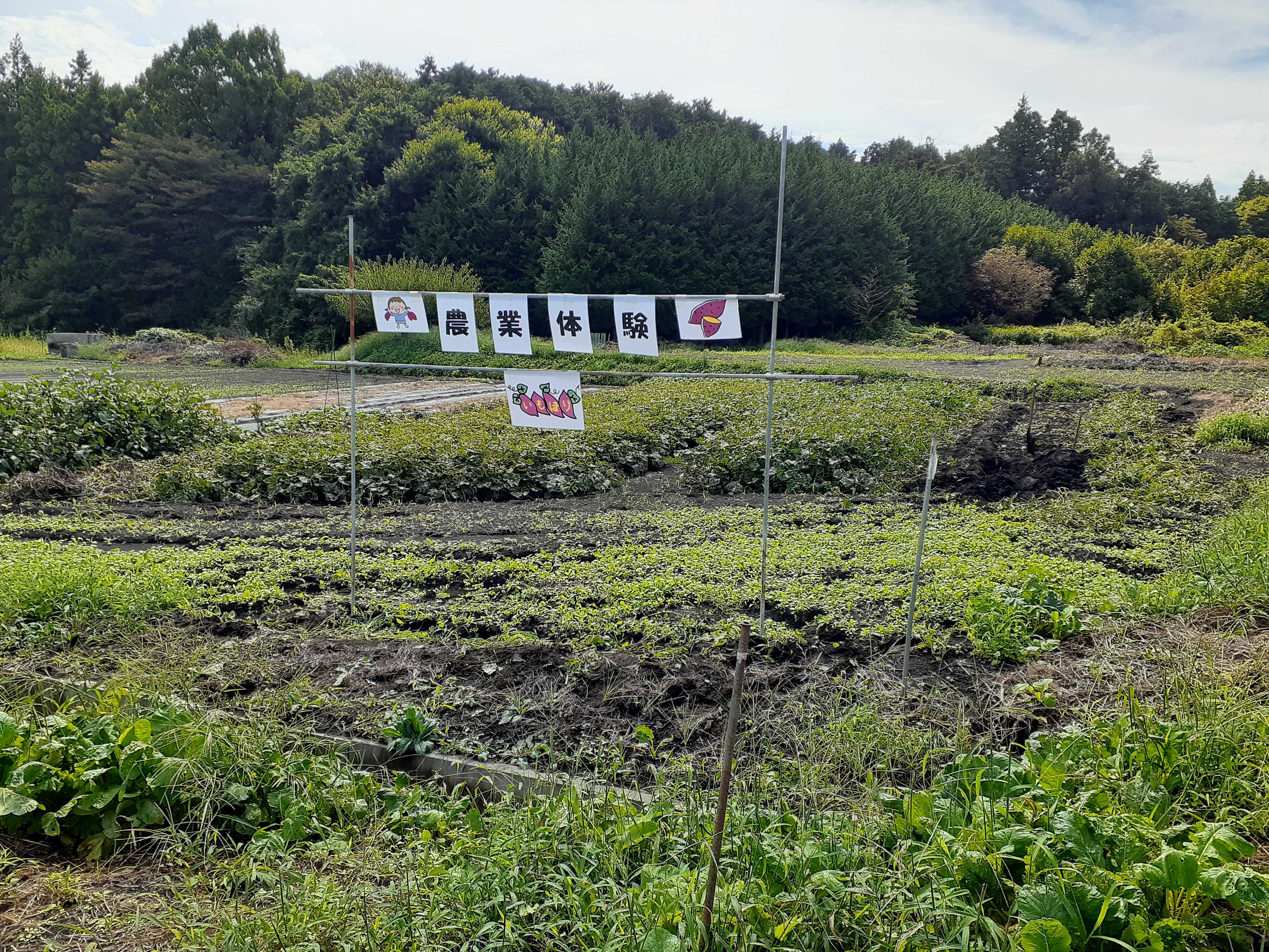 9月14日（日）開催！第2弾！『みんなで農業体験＆食育』レポート！