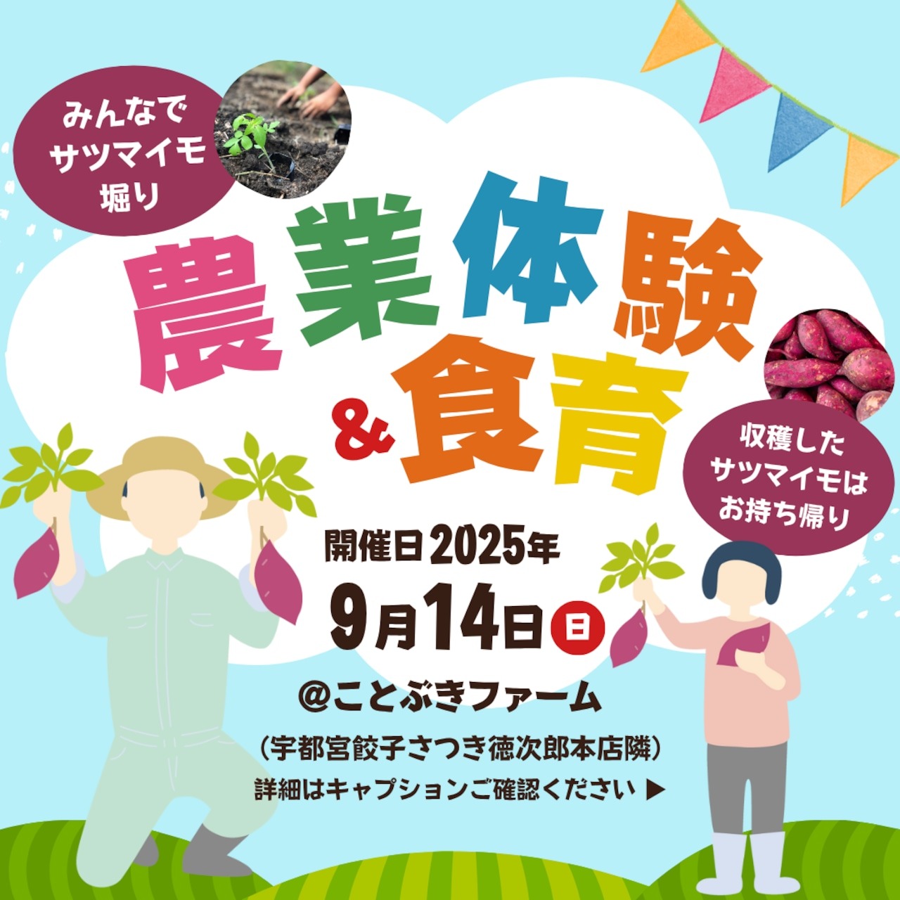 9月定休日＆《受付中》第2弾！『みんなで農業体験＆食育』さつまいも　9月14日（日）に開催！