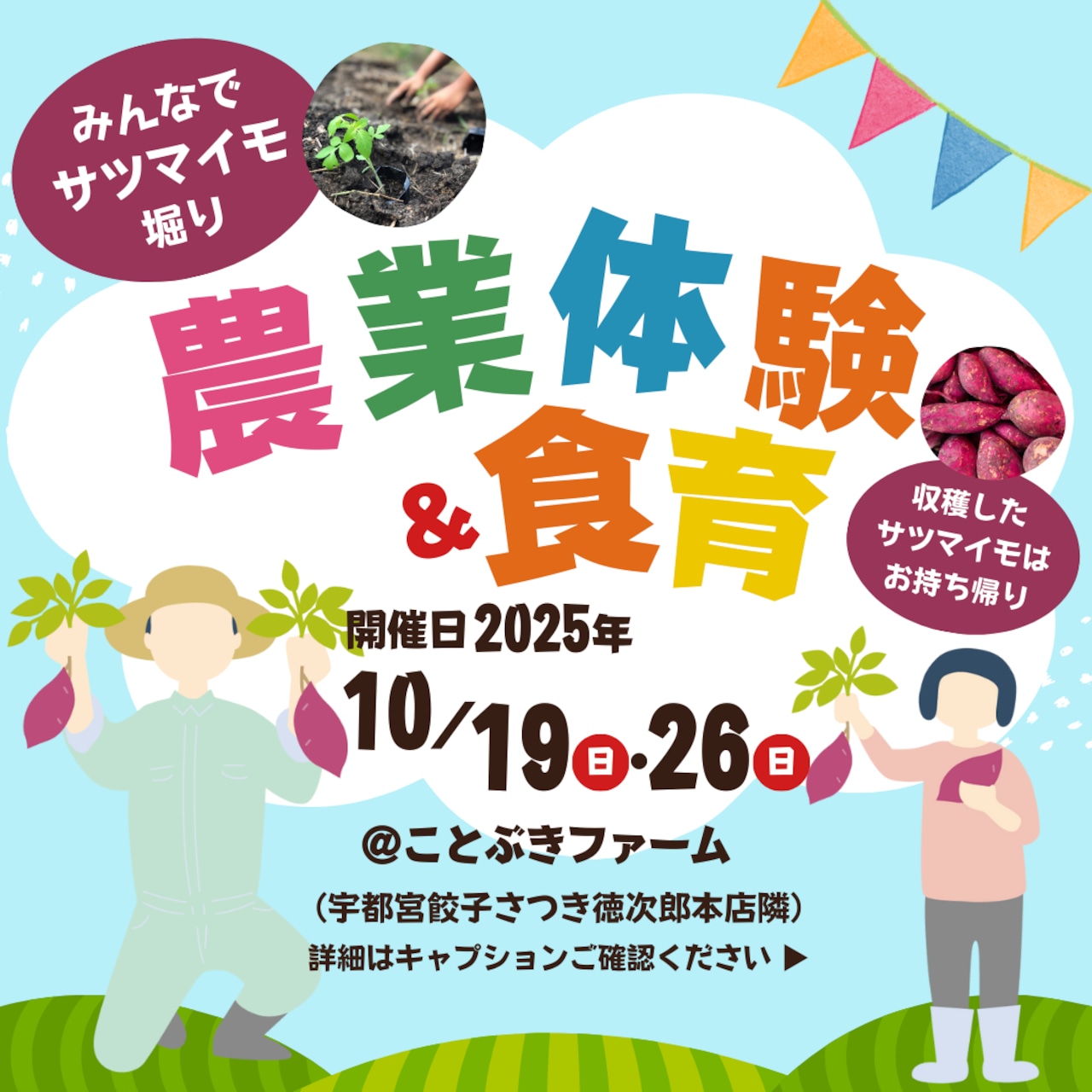 10月開催（10/19・26）『みんなで農業体験＆食育』（さつまいも掘り）参加申込を受付開始！