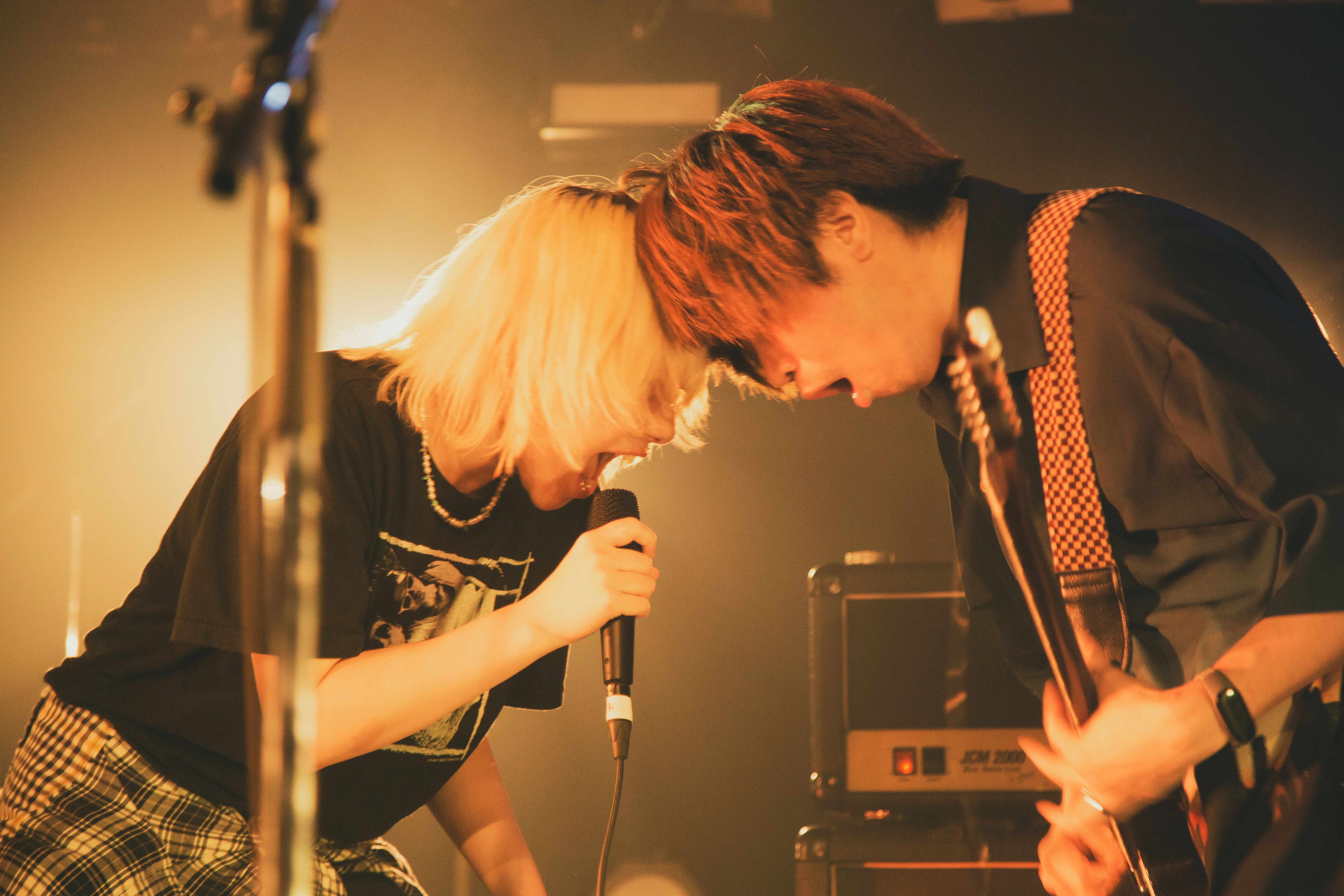 ライブ情報