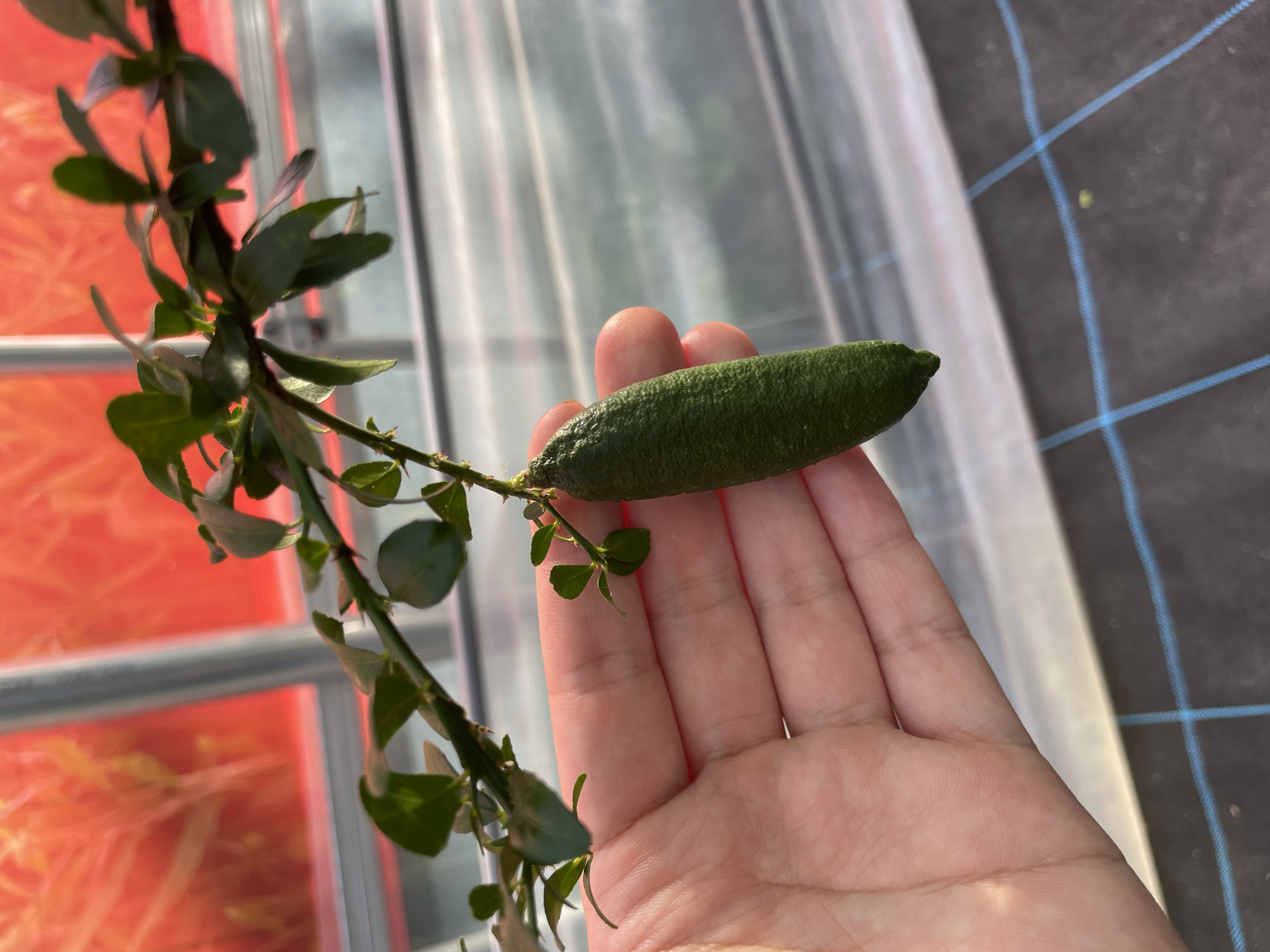 飲食店・業務用のお取り扱いについて