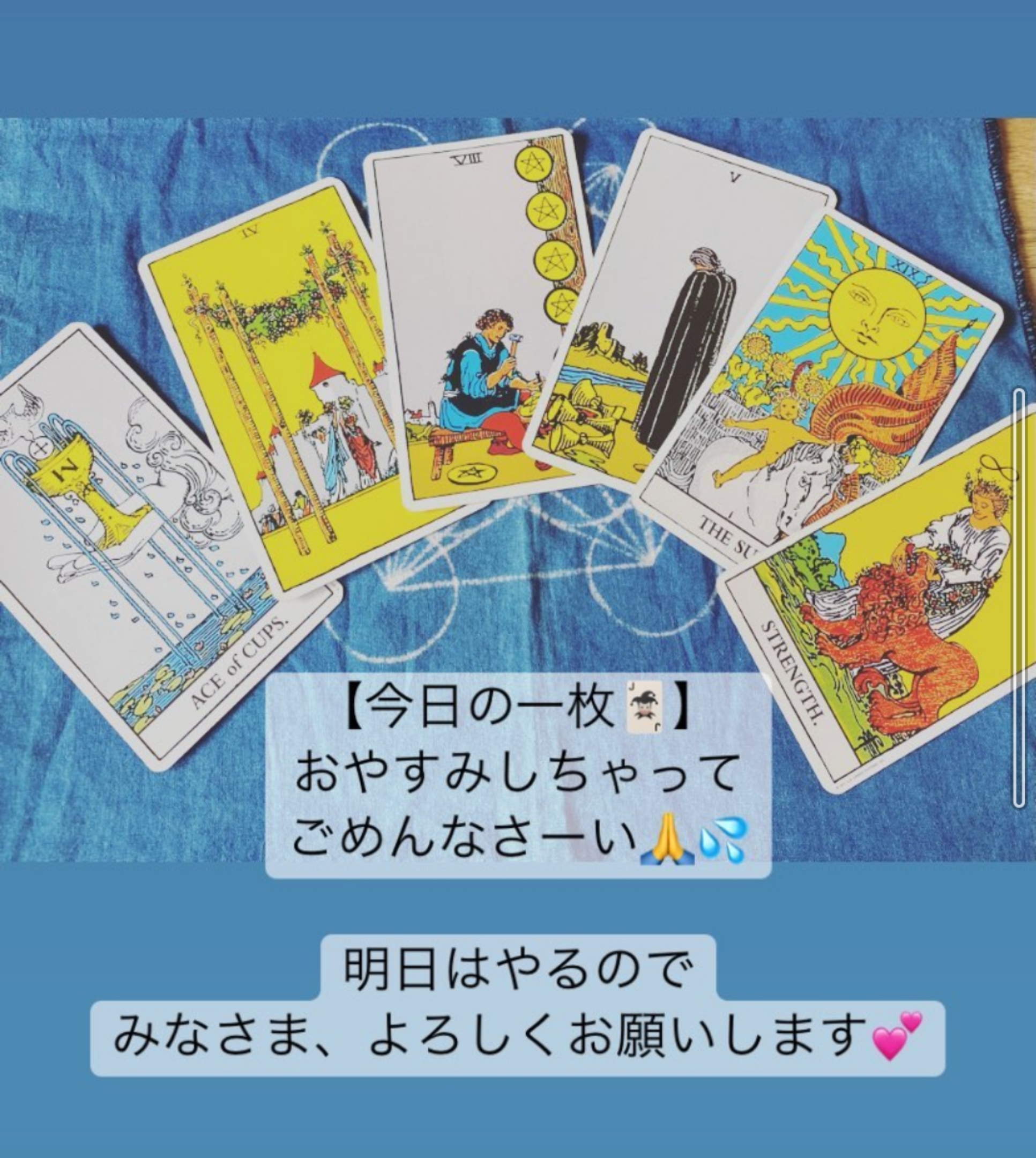 今日のタロットはお休みです。