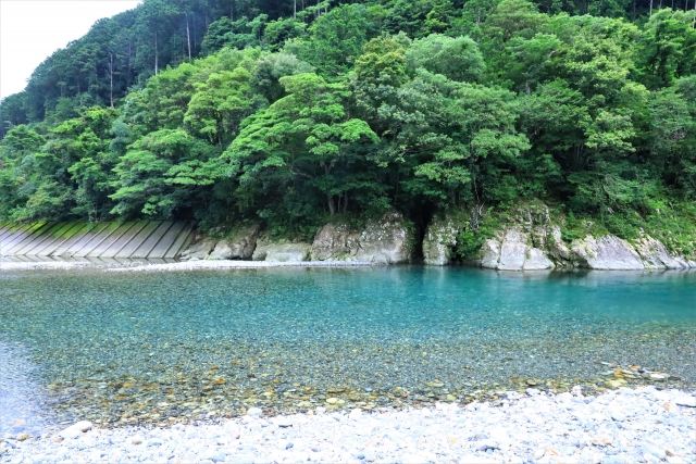 川の流れに身を任せ