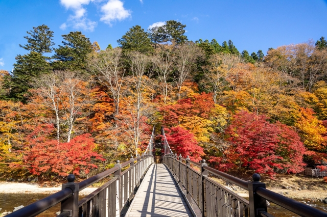 紅葉