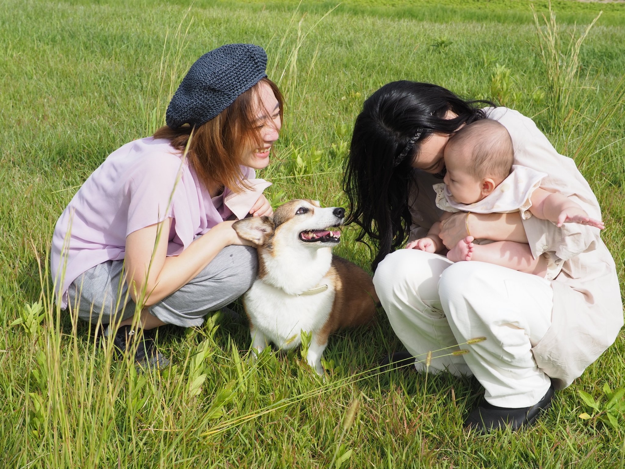 unir開発ストーリー「犬の皮膚に優しいシャンプーを使いたい」