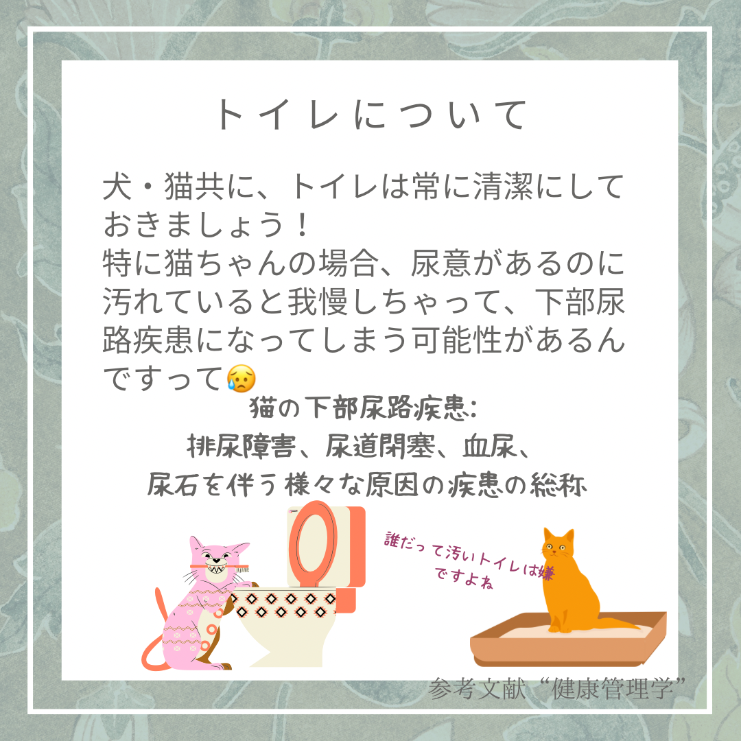 動物の健康管理・トイレについて
