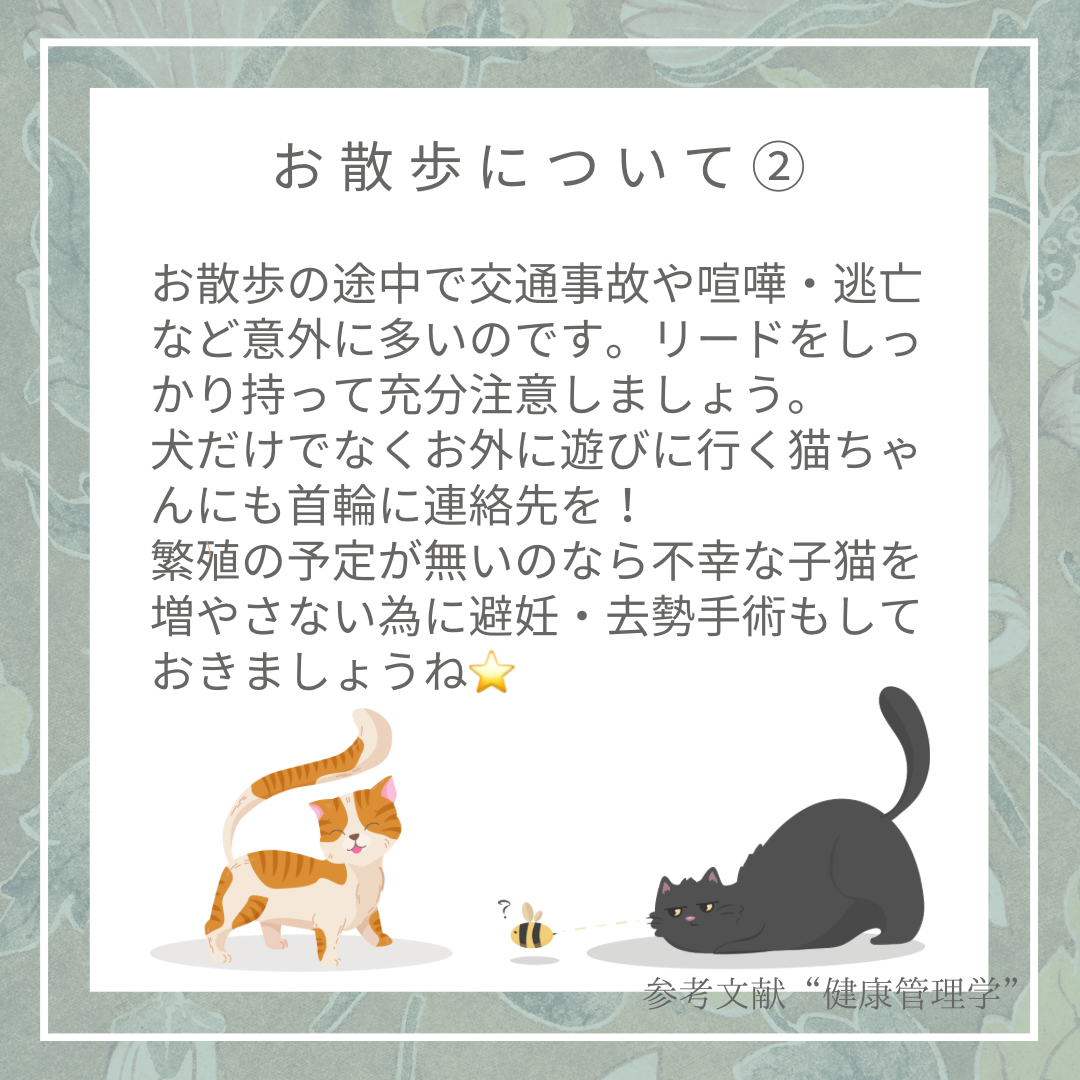 動物の健康管理・お散歩について②