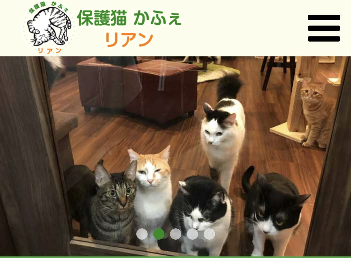 【天国からの手紙】活動報告書