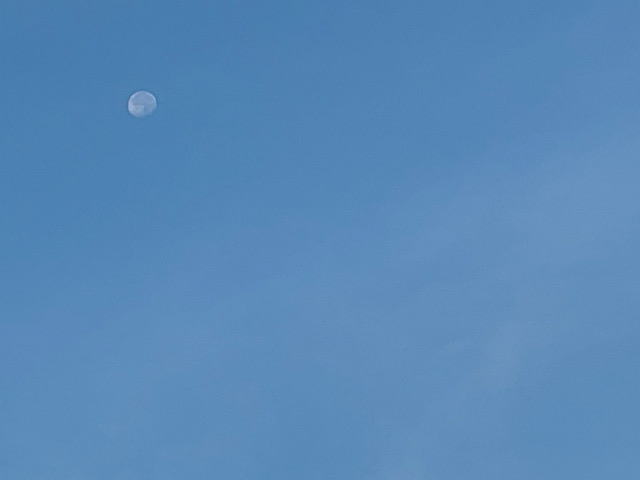 2022.9.1 サイトオープン記念終了