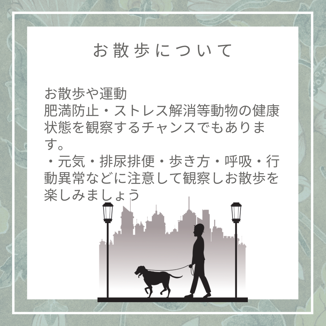 動物の健康管理・お散歩について