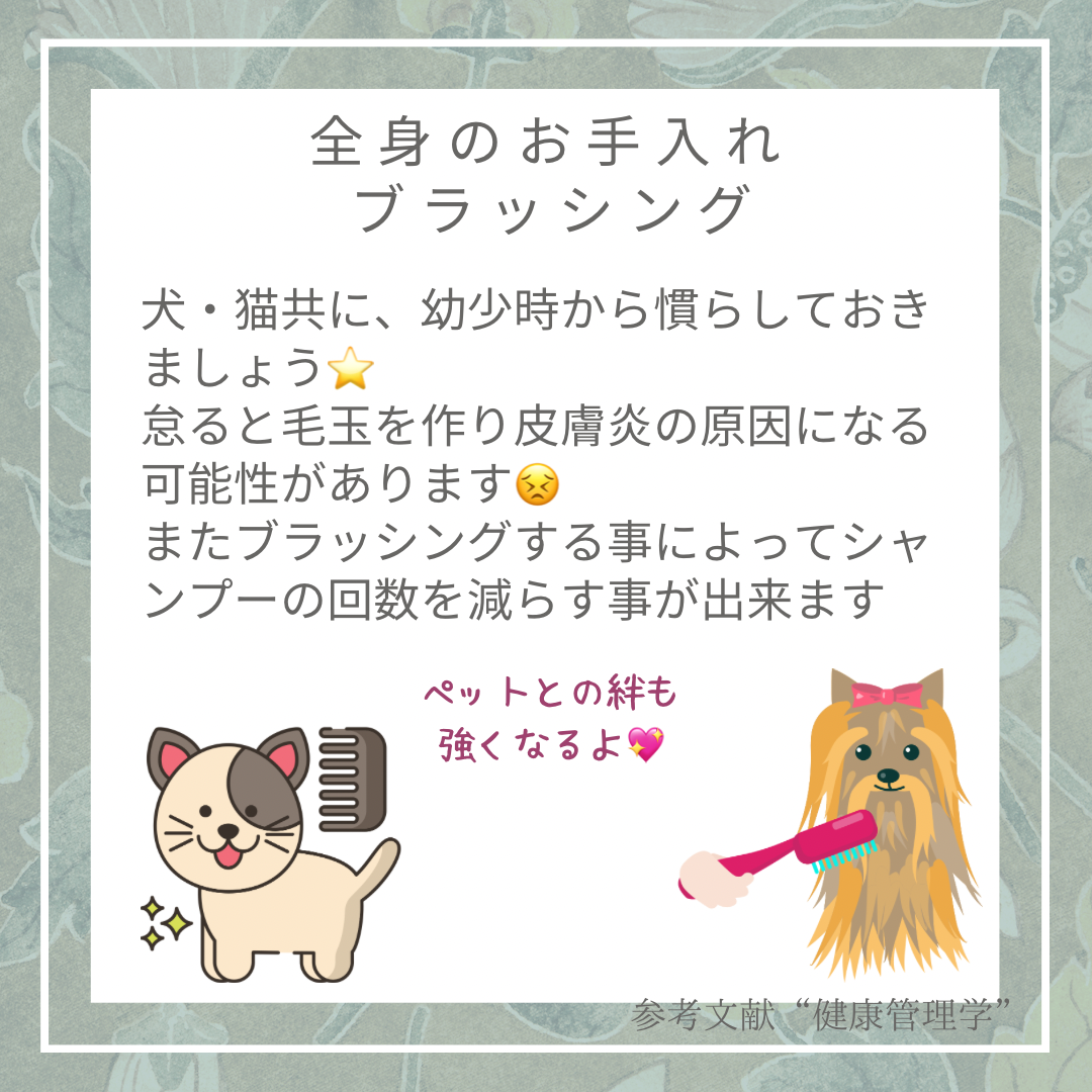 動物の健康管理・ブラッシング
