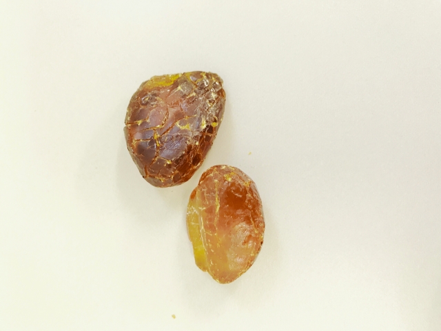 松やにと漢方薬