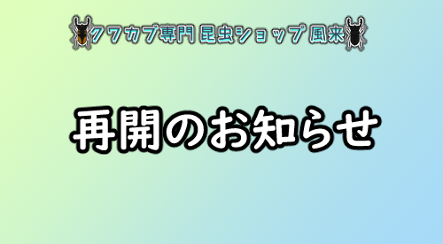 再開のお知らせ