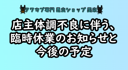 店主体調不良に伴う臨時休業のお知らせ、と今後の予定について。