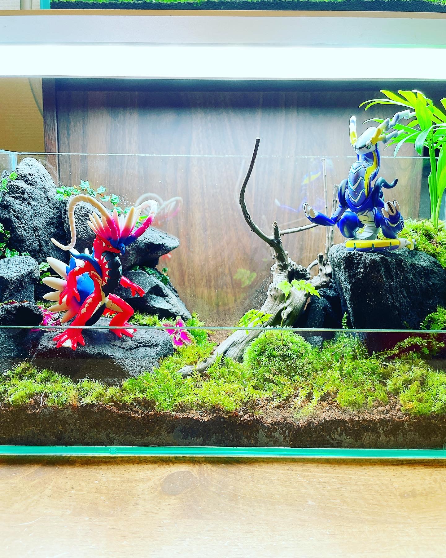 ミライドンとコライドンの苔世界