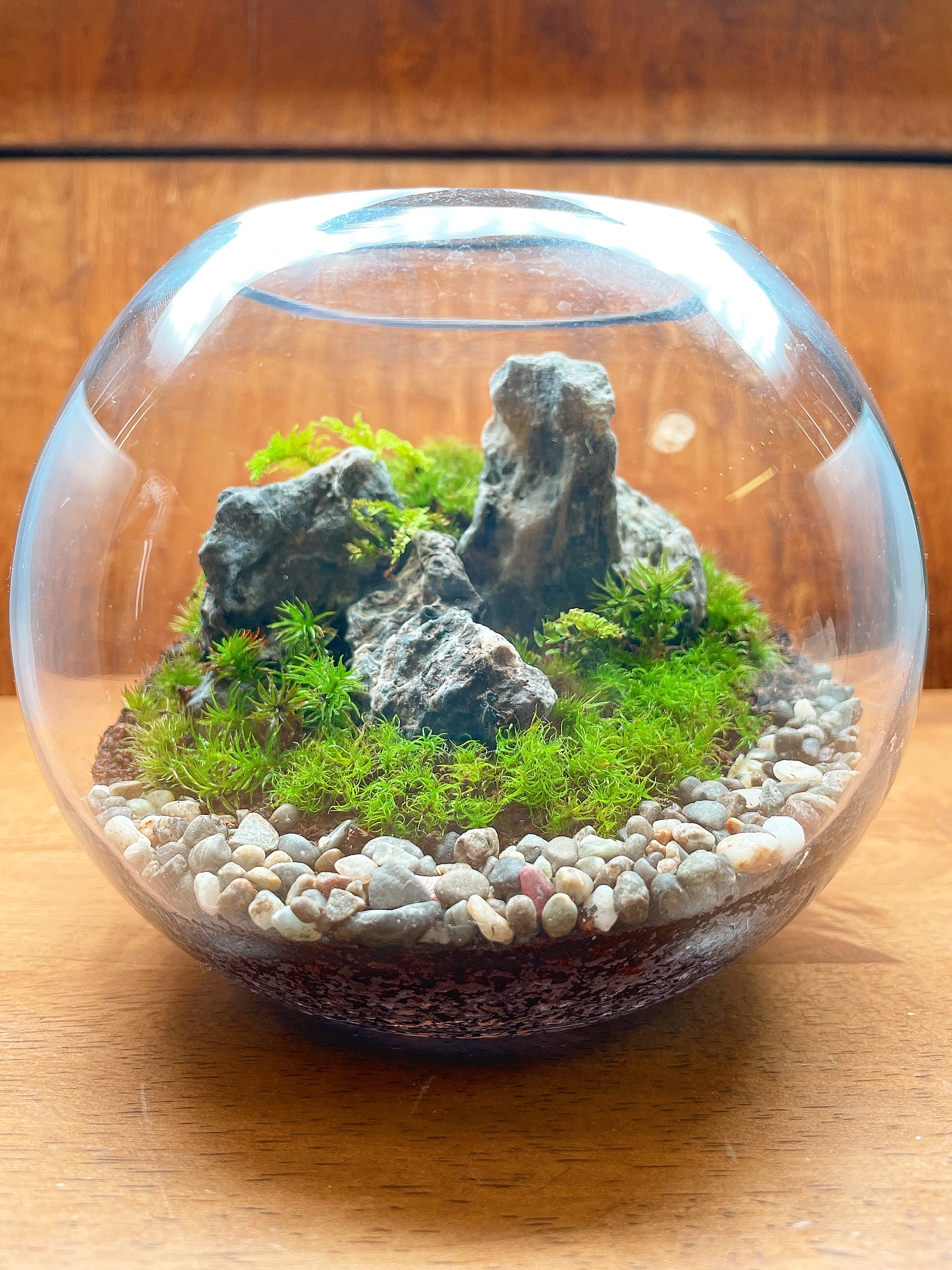 もうすぐ12月ですね。