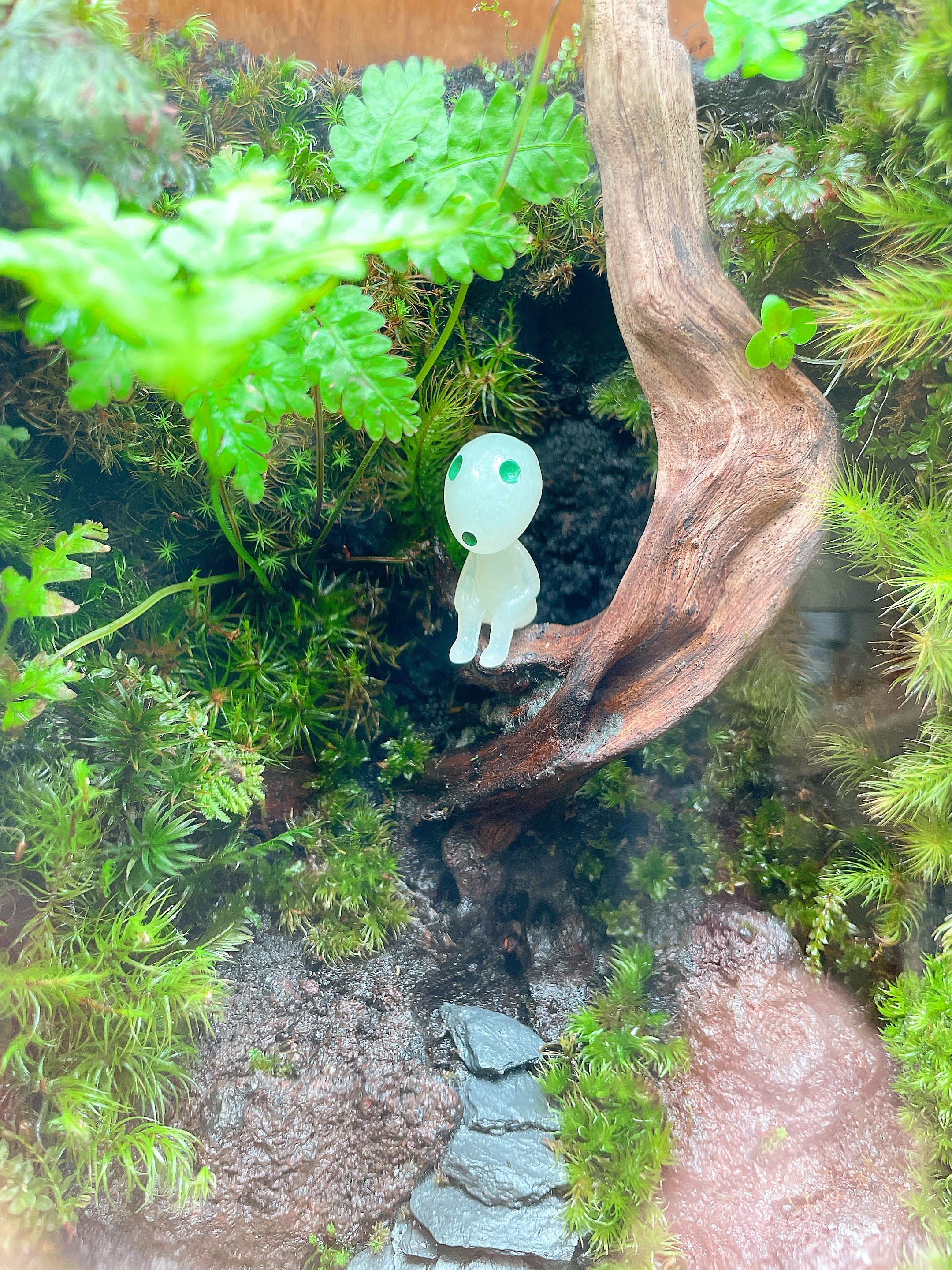 エシカルフェスタに向けて