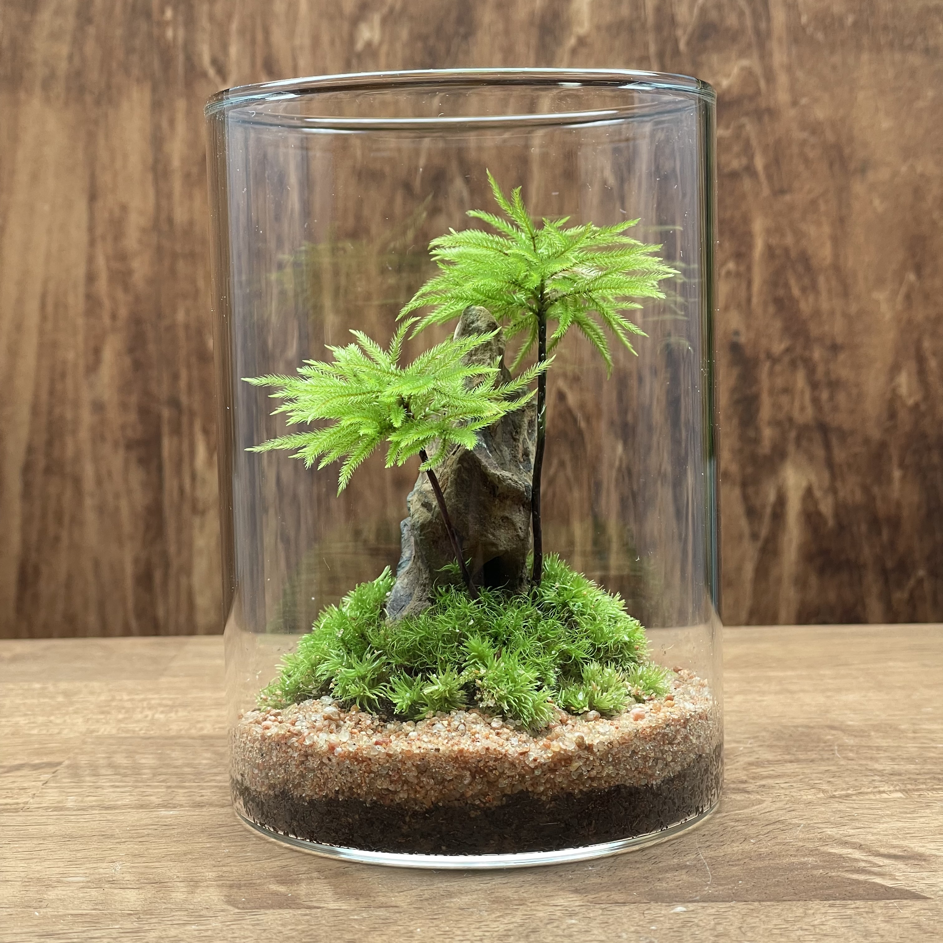 深北緑地公園イベントに向けて