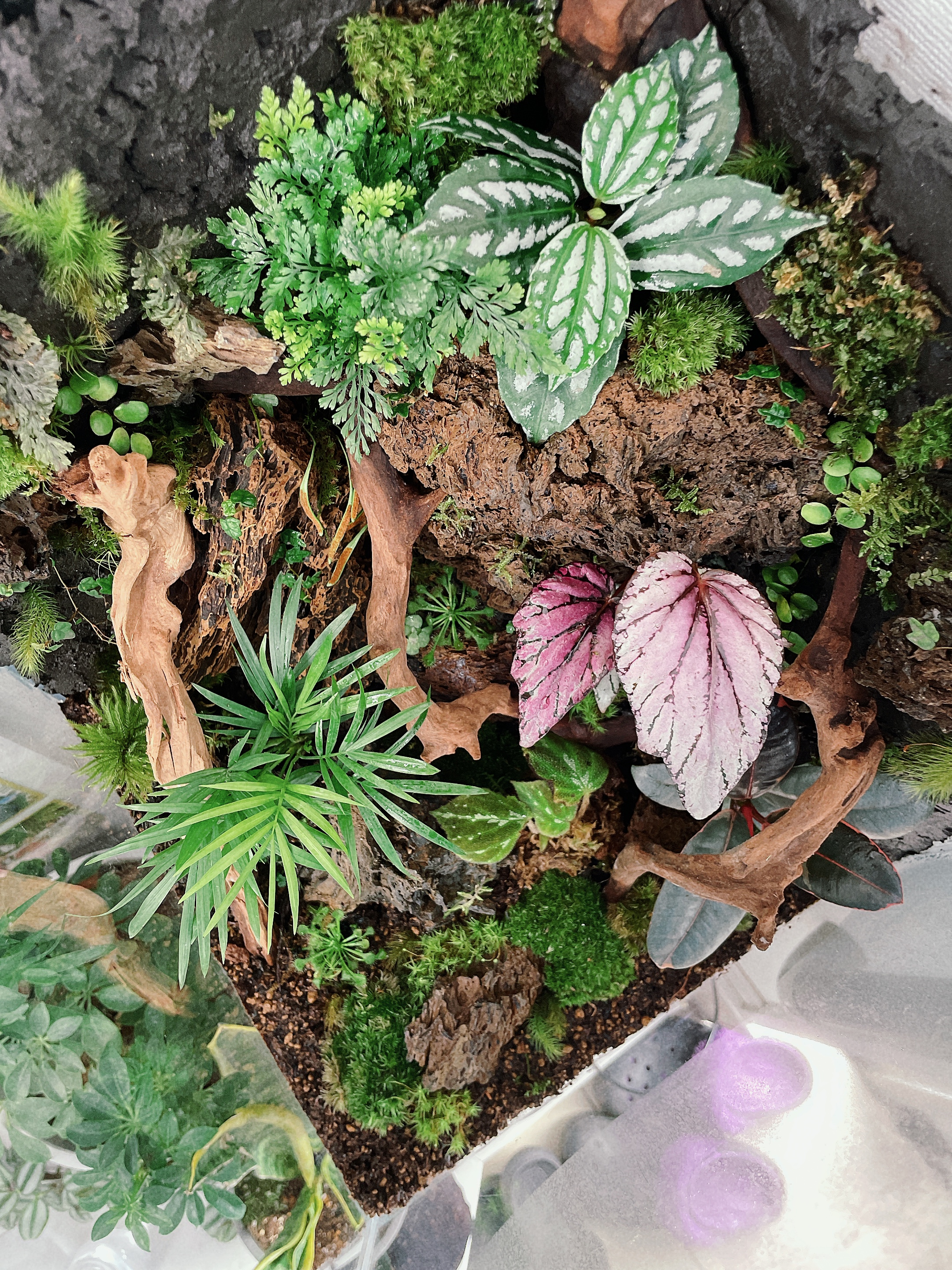 春も近づいて来ましたね。。