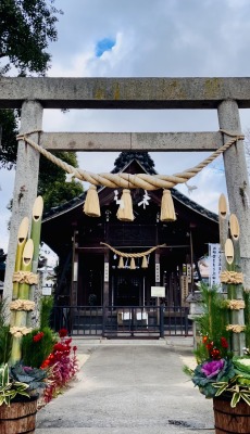 あけましておめでとうございます❗️