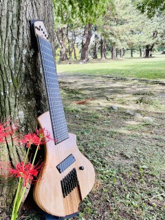 Strobe 8G gently disturbed ❻　ー弦の振動を循環させるー